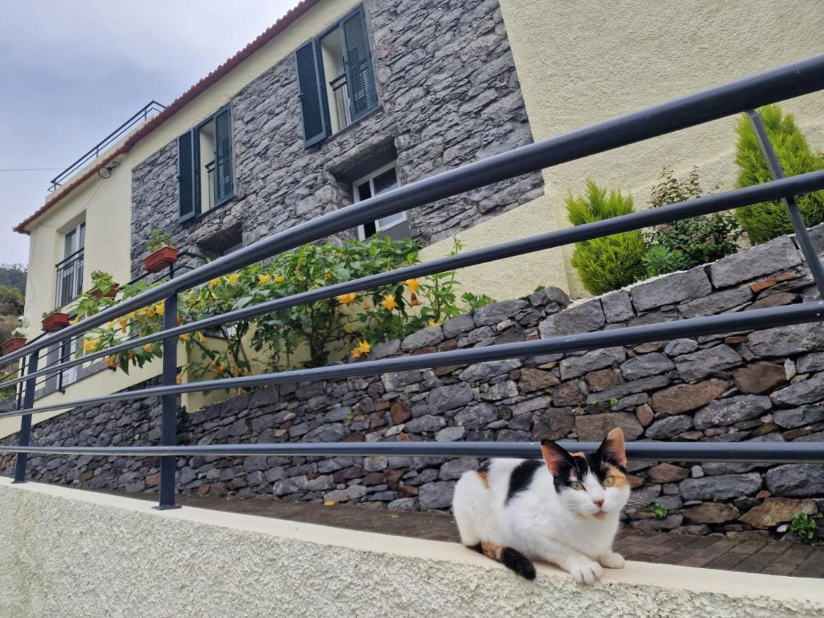 Green Valley House Madeira Ribeira Brava Luaran gambar